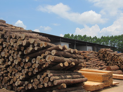 2018木材市場走向預(yù)測